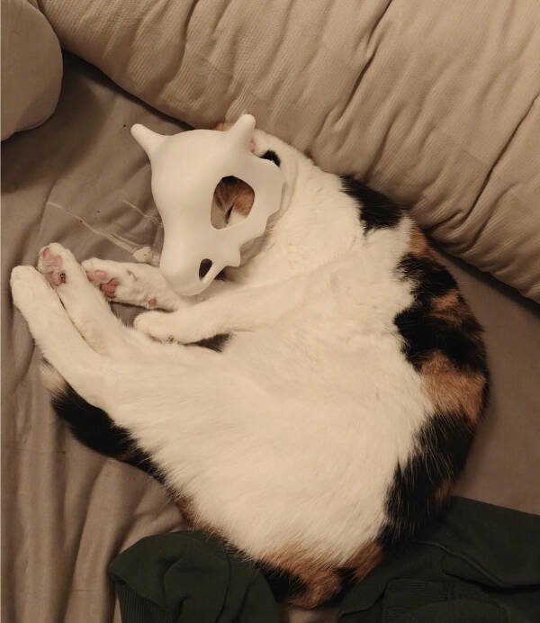 This Is Really Weird (20 pics)