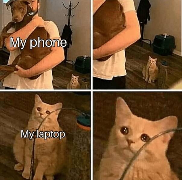 Memes About Gadget Addiction (24 pics)