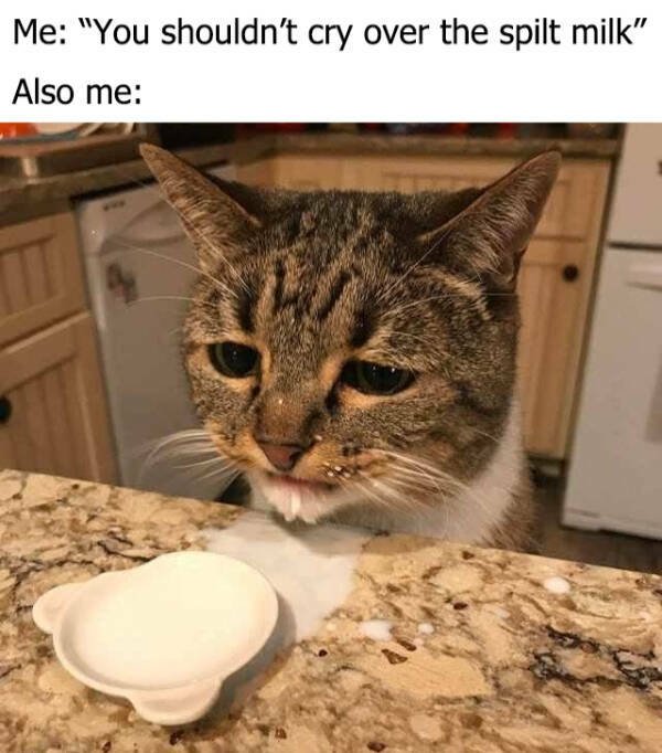 Funny Memes (14 pics)