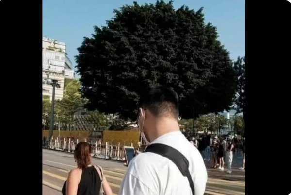 Strange Photos From Around The World (27 pics)