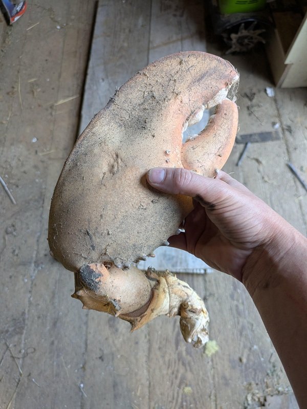 Interesting Finds (24 pics)