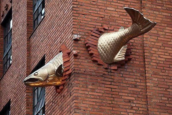 What Is Going On Here? (31 pics)