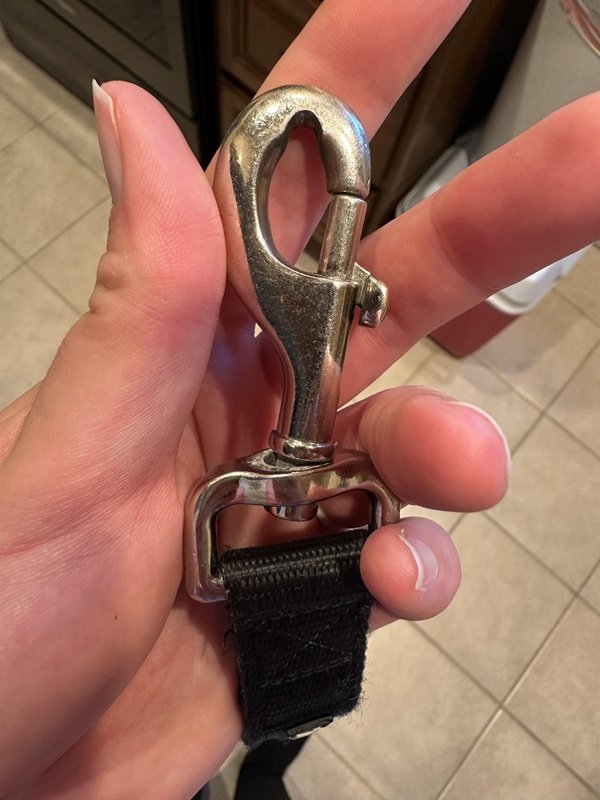Interesting Finds (24 pics)