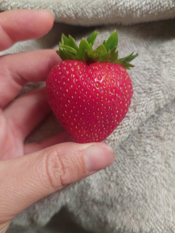 Interesting Finds (24 pics)