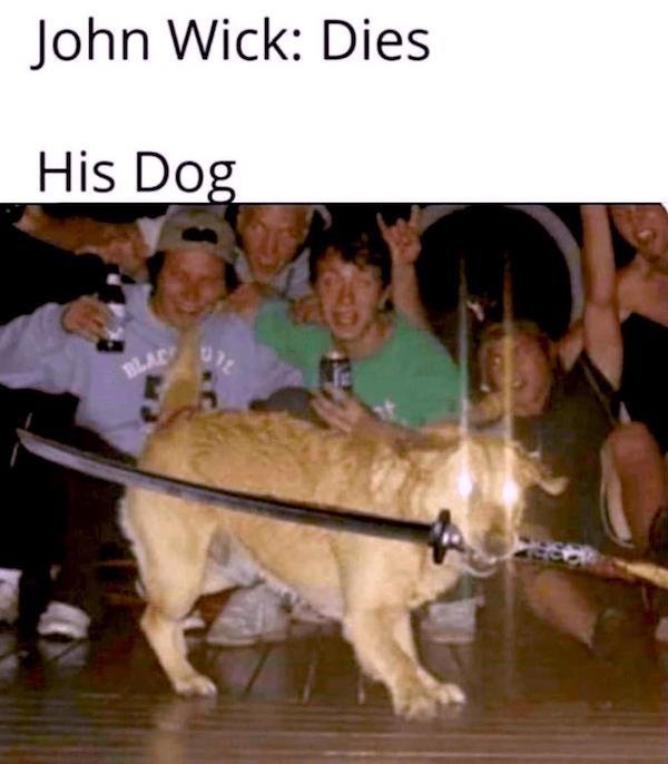 Movie Memes (35 pics)