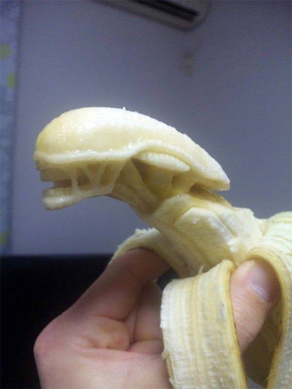 What Is Going On Here? (31 pics)