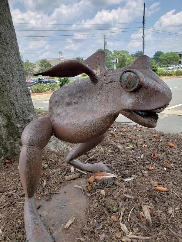 What Is Going On Here? (31 pics)