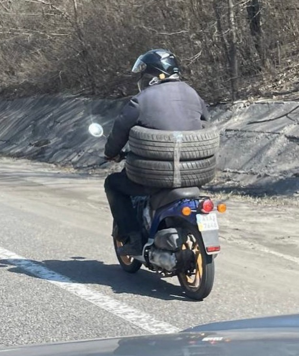 What Is Going On Here? (31 pics)