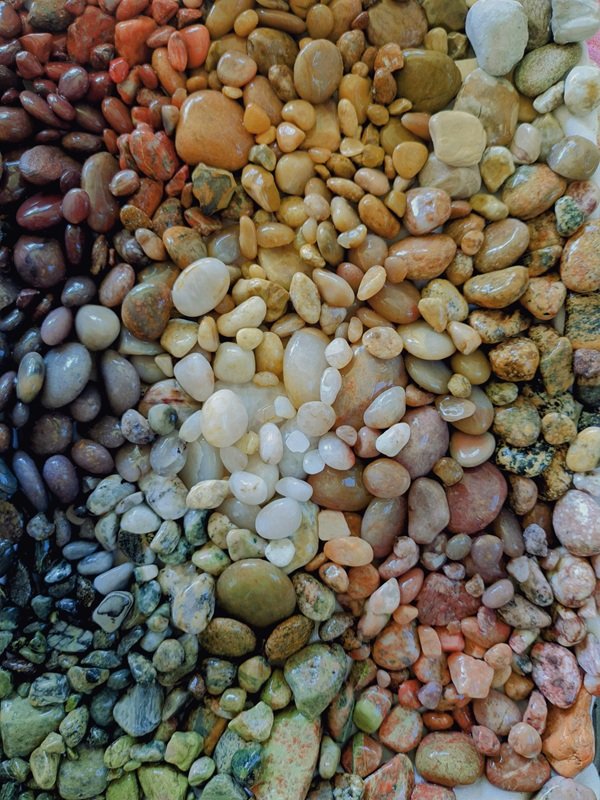 Interesting Finds (24 pics)
