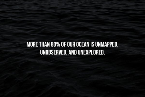 Creepy Facts (15 pics)