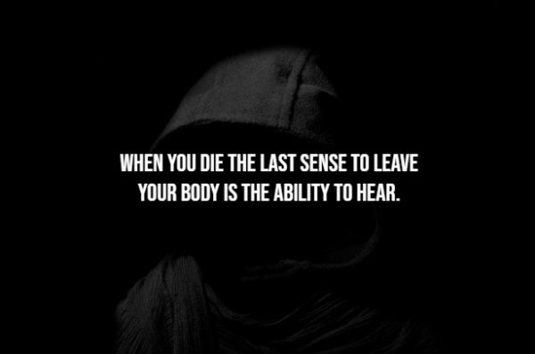 Creepy Facts (15 pics)