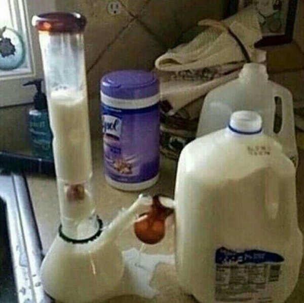 What Is Going On Here? (24 pics)
