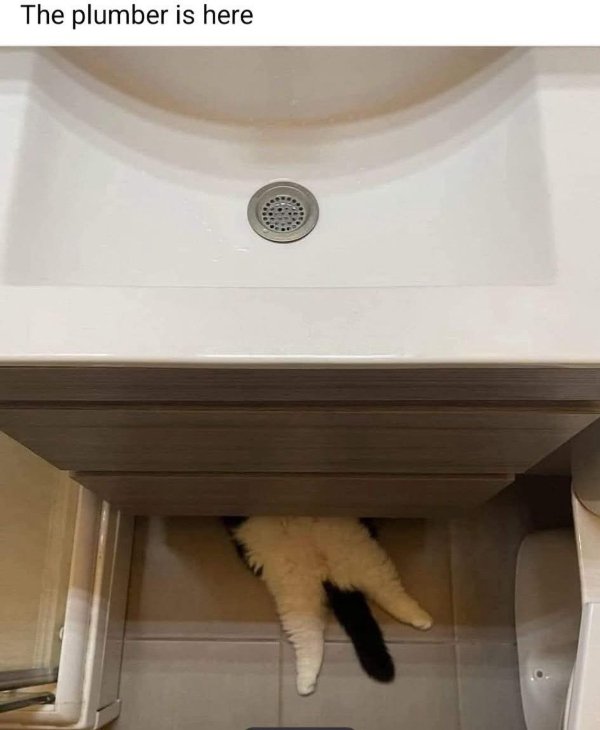 Funny Memes (26 pics)