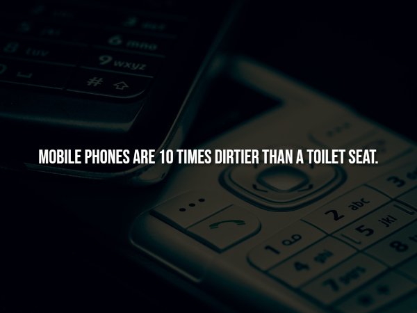 Creepy Facts (15 pics)