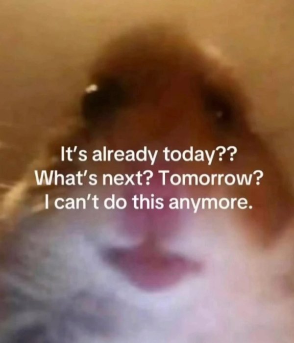 Funny Memes (26 pics)