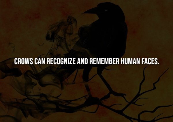 Creepy Facts (15 pics)