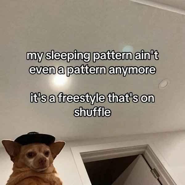 Funny Memes (26 pics)