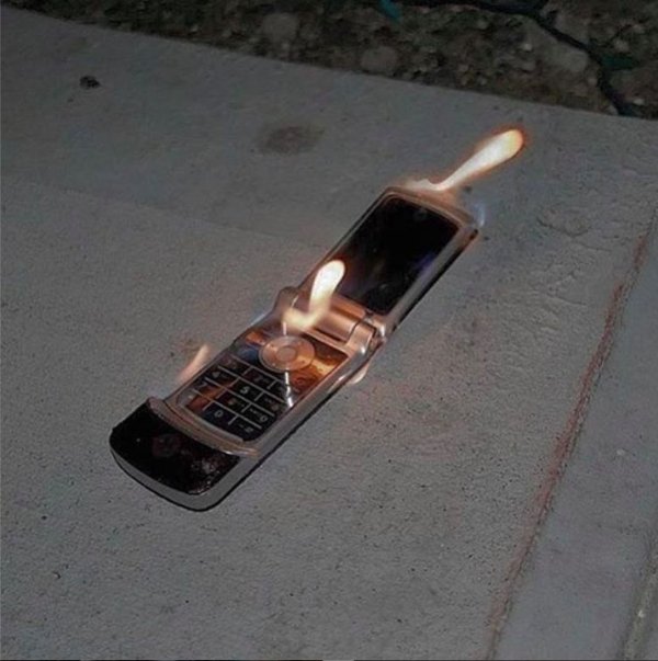 What Is Going On Here? (24 pics)