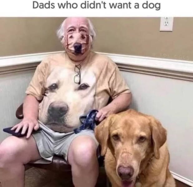 Kind Memes (16 pics)