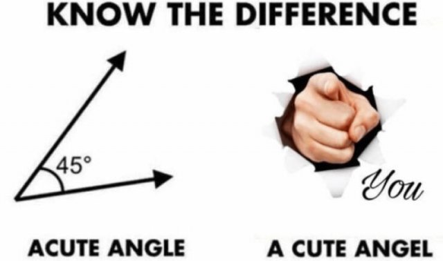 Kind Memes (16 pics)