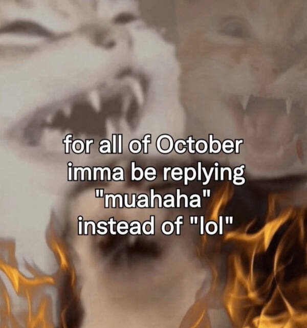 Kind Memes (16 pics)