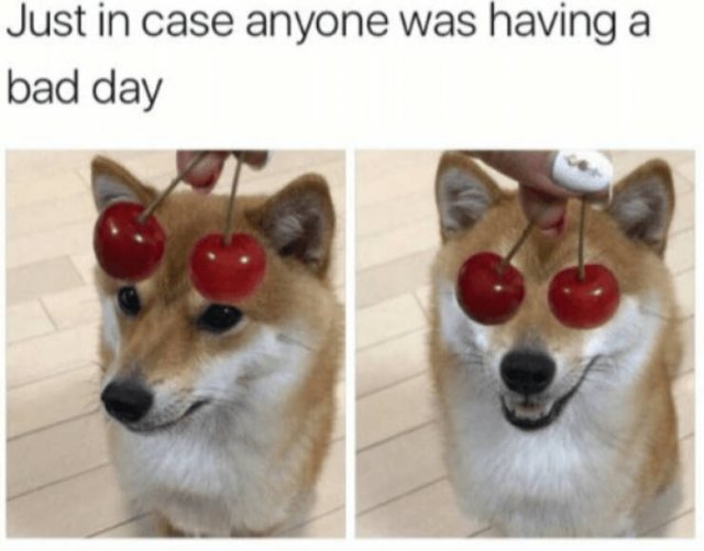 Kind Memes (16 pics)
