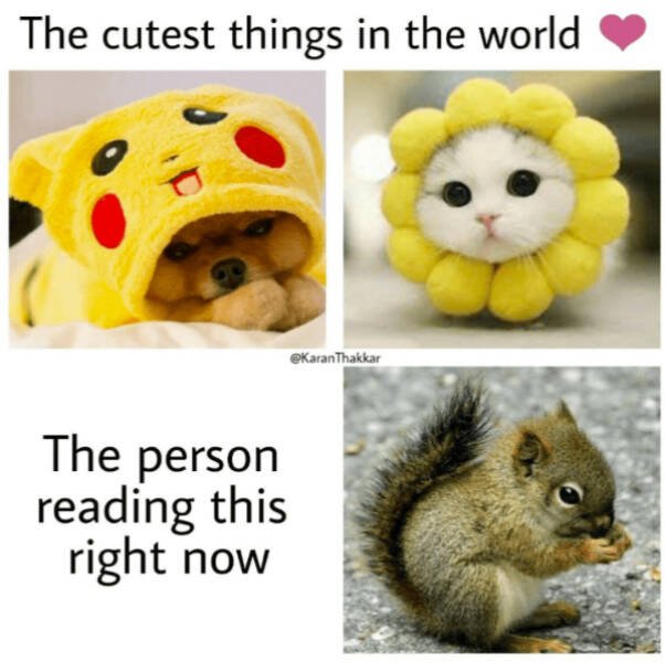 Kind Memes (16 pics)