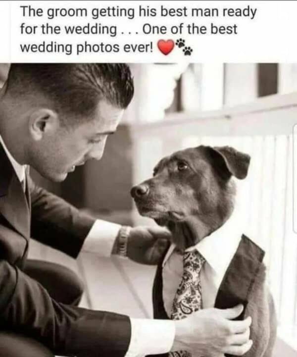 Kind Memes (16 pics)