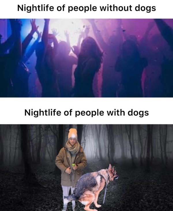 Truthful Memes (36 pics)