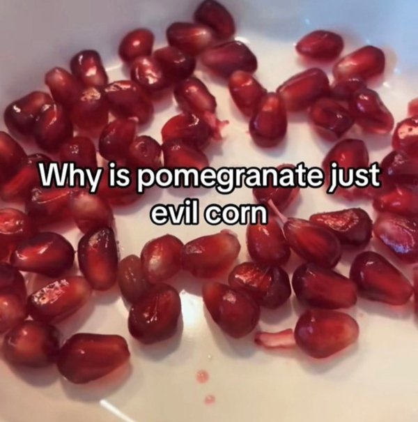 Truthful Memes (36 pics)