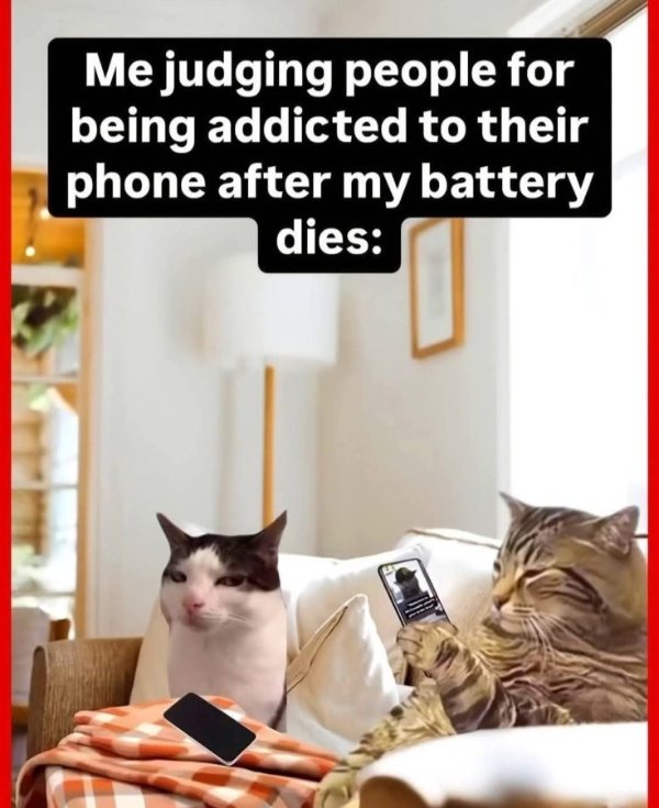 Truthful Memes (36 pics)