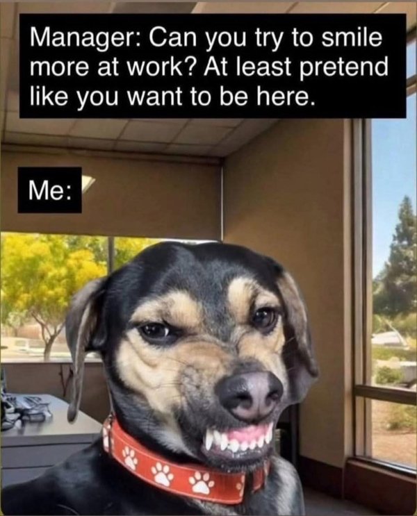 Truthful Memes (36 pics)