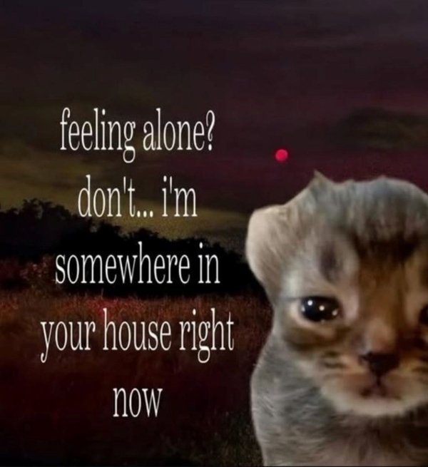 Truthful Memes (36 pics)