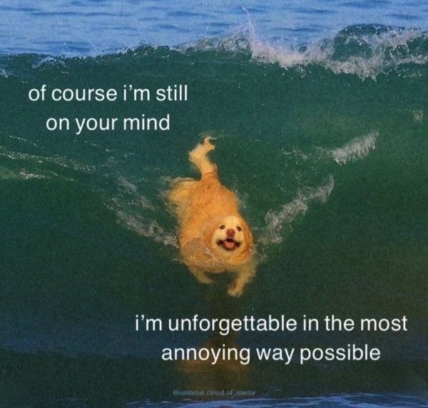 Truthful Memes (36 pics)