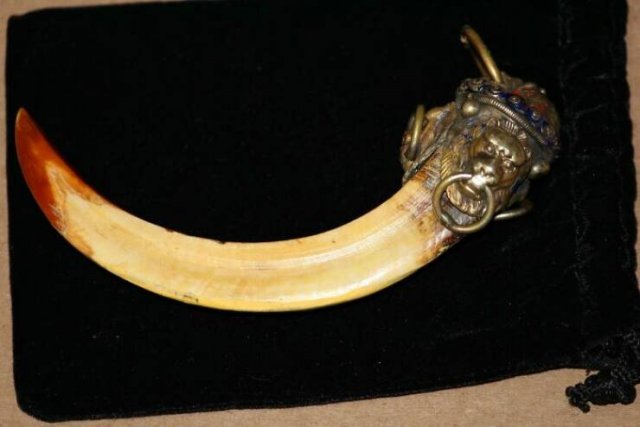 What Are These Things? (23 pics)