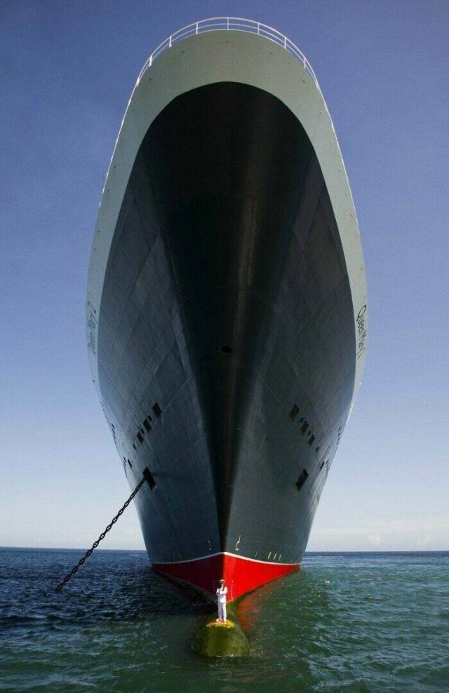 Amazing Sizes (23 pics)