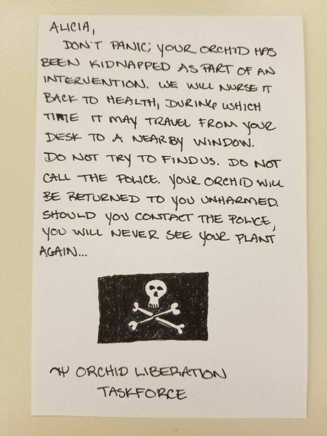 Funny Office Notes (24 pics)