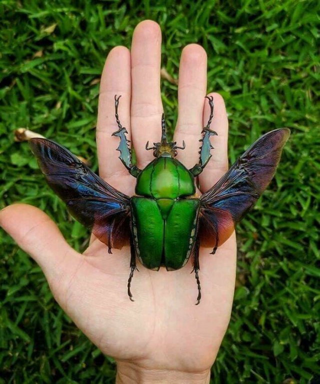 Amazing Sizes (23 pics)