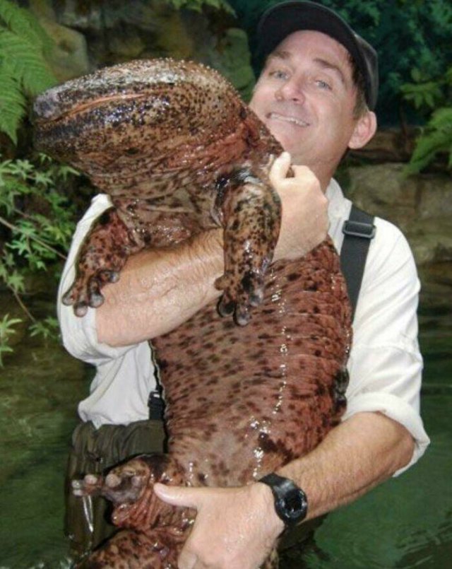 Amazing Sizes (23 pics)