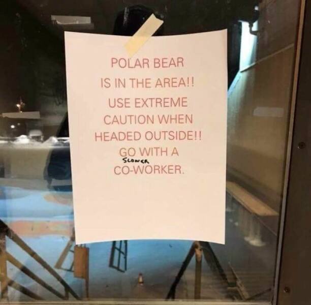 Funny Office Notes (24 pics)