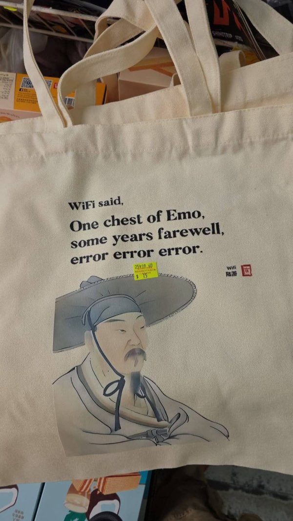 Failed Translations (29 pics)