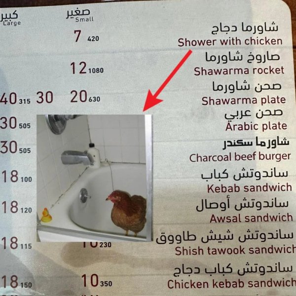 Failed Translations (29 pics)