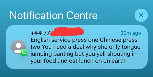 Failed Translations (29 pics)