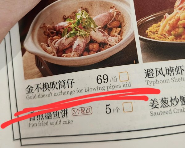 Failed Translations (29 pics)