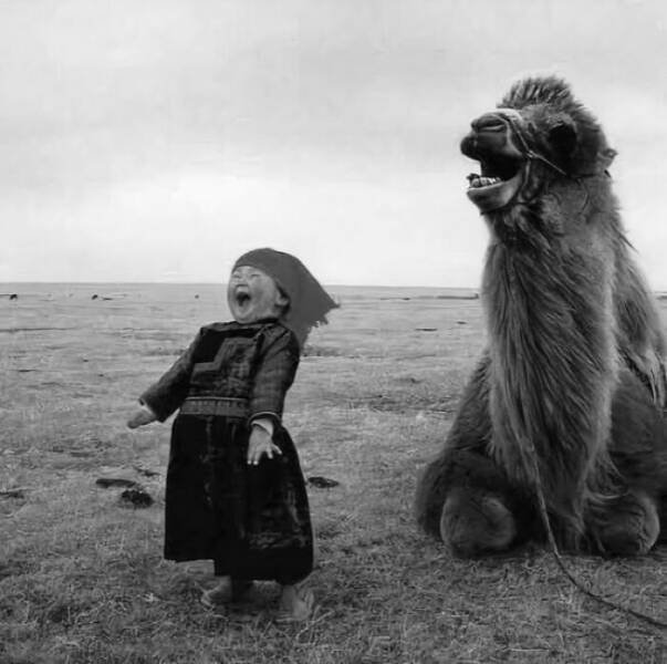 Interesting Photos (21 pics)