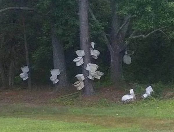 What Is Going On Here? (41 pics)
