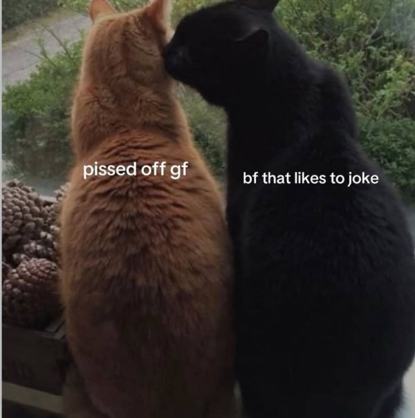 Memes For Couples (35 pics)