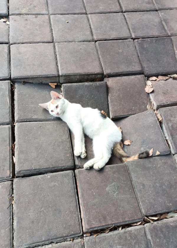 What Is Going On Here? (41 pics)