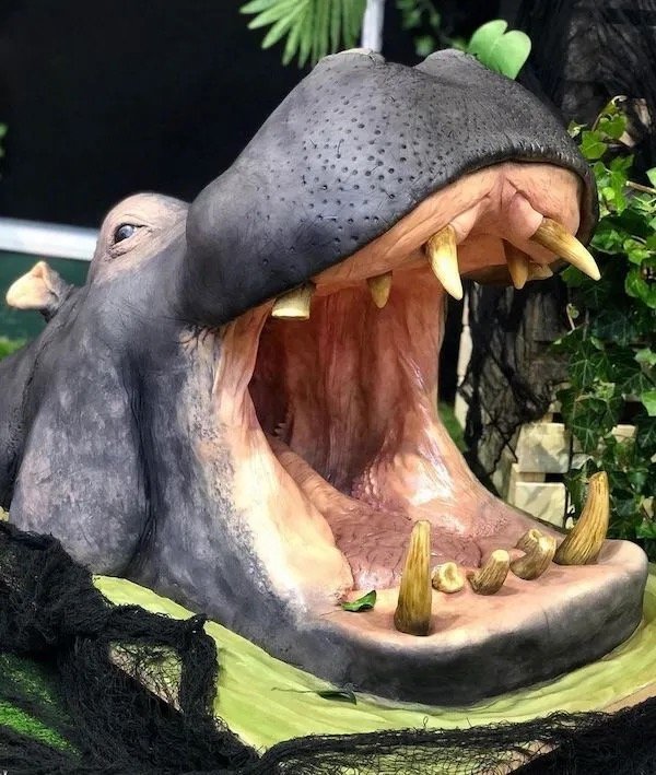 Amazing Cakes (20 pics)
