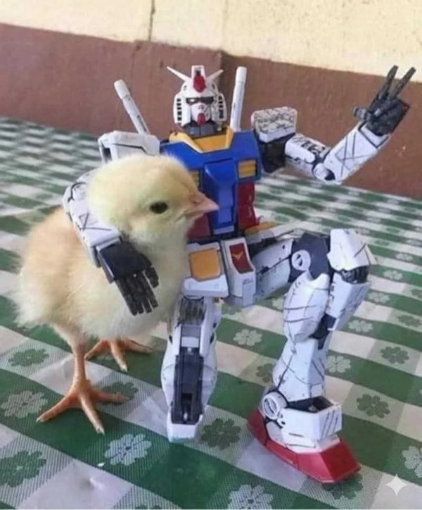 What Is Going On Here? (41 pics)